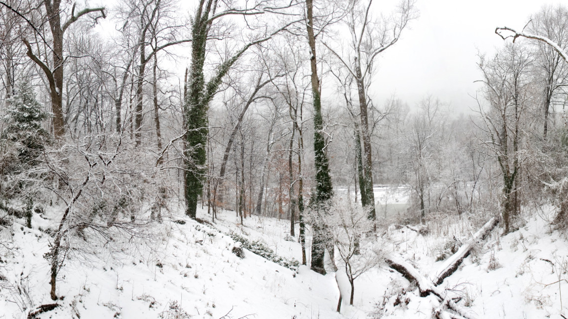 1900 Meadow Street Richomnd VA