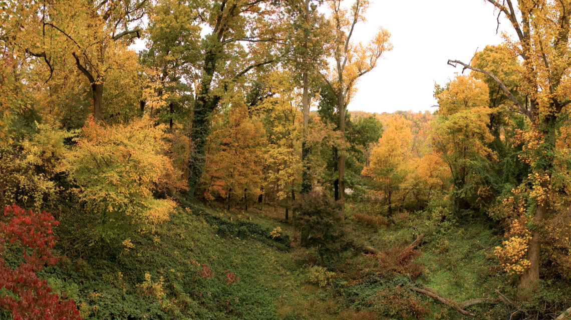 1900 Meadow Street Richmond VA